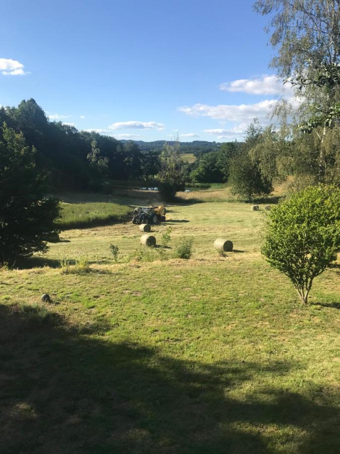 Une Pause En Correze Sarroux ภายนอก รูปภาพ